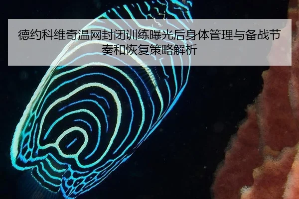 德约科维奇温网封闭训练曝光后身体管理与备战节奏和恢复策略解析